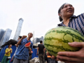 51朝阳吃瓜,揭秘娱乐圈最新吃瓜事件，带你领略明星幕后故事