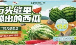 热门大瓜每日大赛,揭秘娱乐圈风云变幻，大赛精彩瞬间回顾